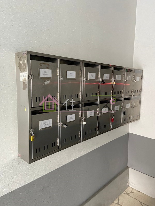 セイワパレス寺山公園 その他外観3