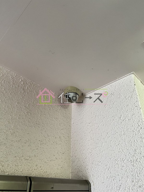 コートダルジャンⅡ  その他外観5