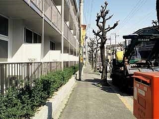その他15