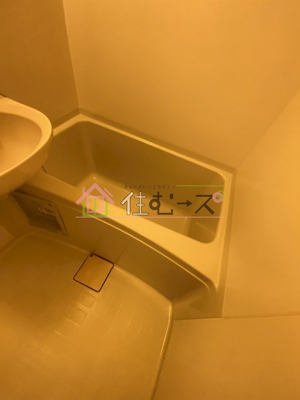 真Ⅰ 風呂画像