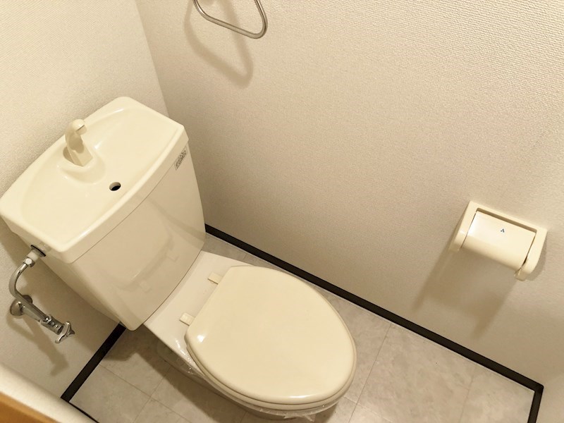 ファシルカワト その他1