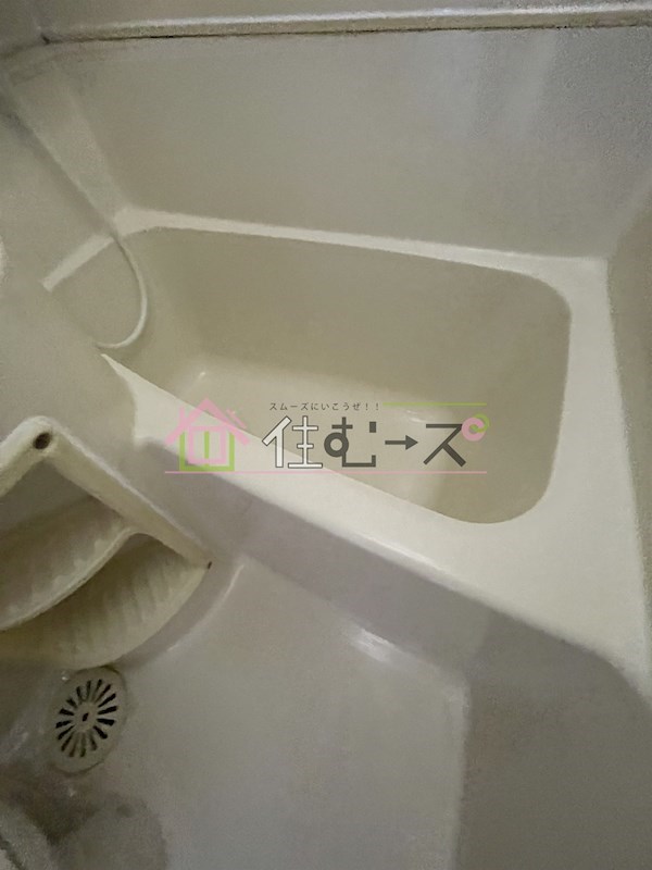 PALMIZIO平野西1 風呂画像