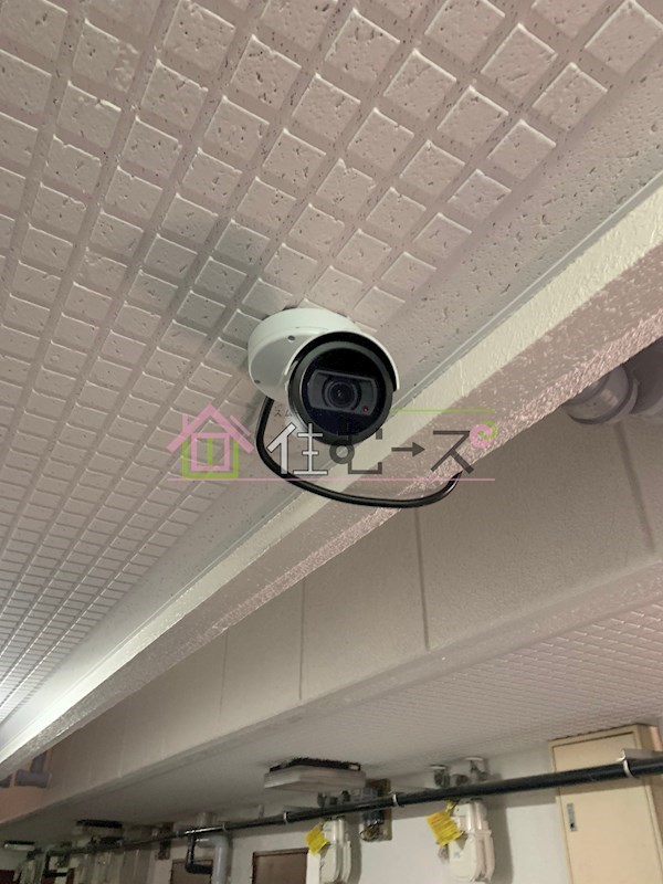 メゾン美樹 その他外観5