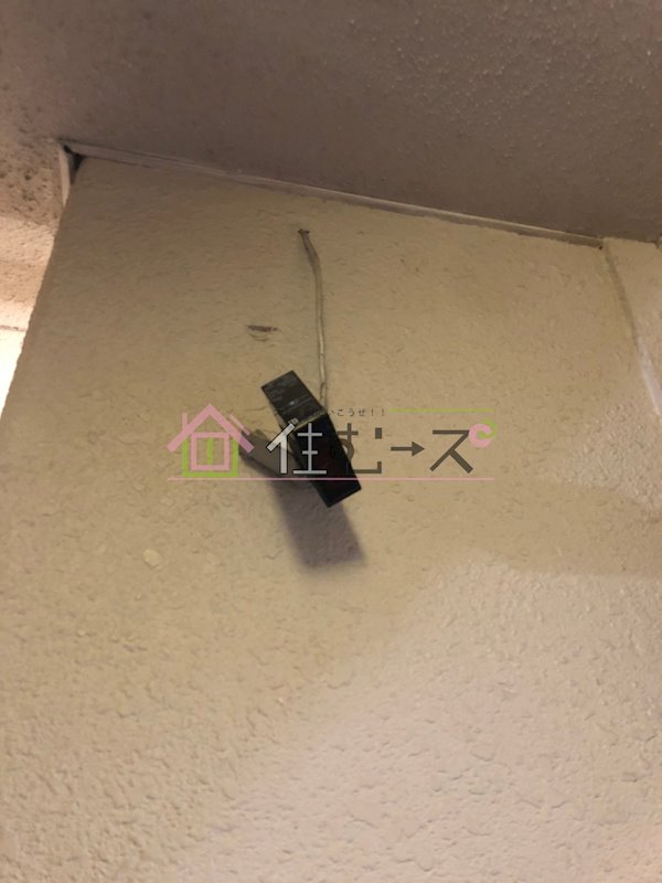 パレス天下茶屋 その他外観5