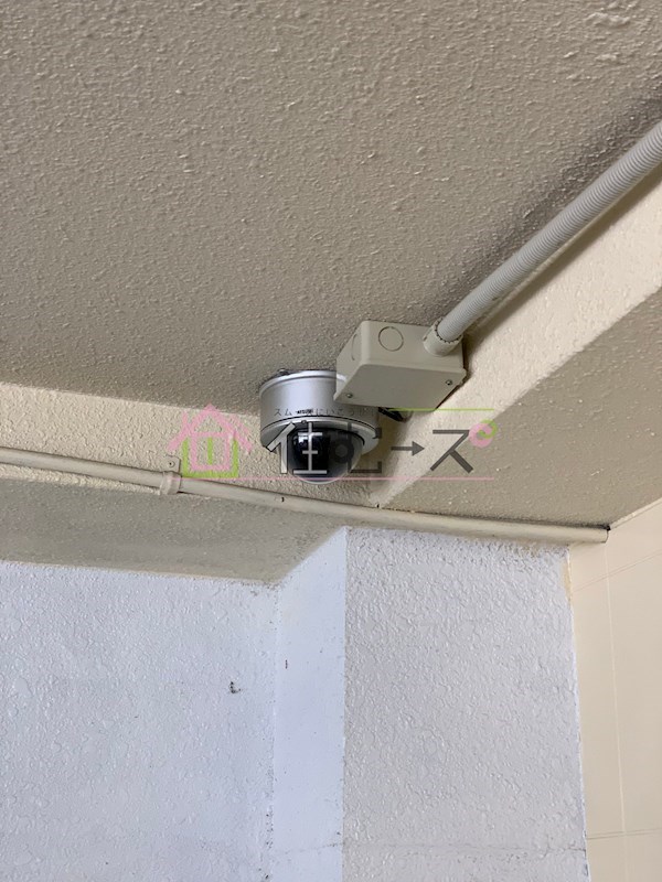 プラザ今林 その他外観4