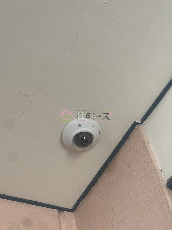 エスコート その他外観2