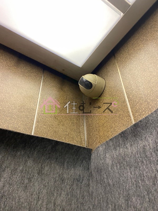 シャトーアルーフ その他外観5