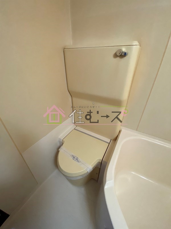 ラ・パルフェ・ド・パラツィーナ その他3