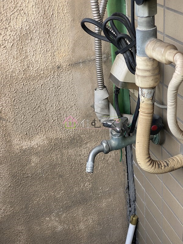 ワイムアーク・マサノ その他2