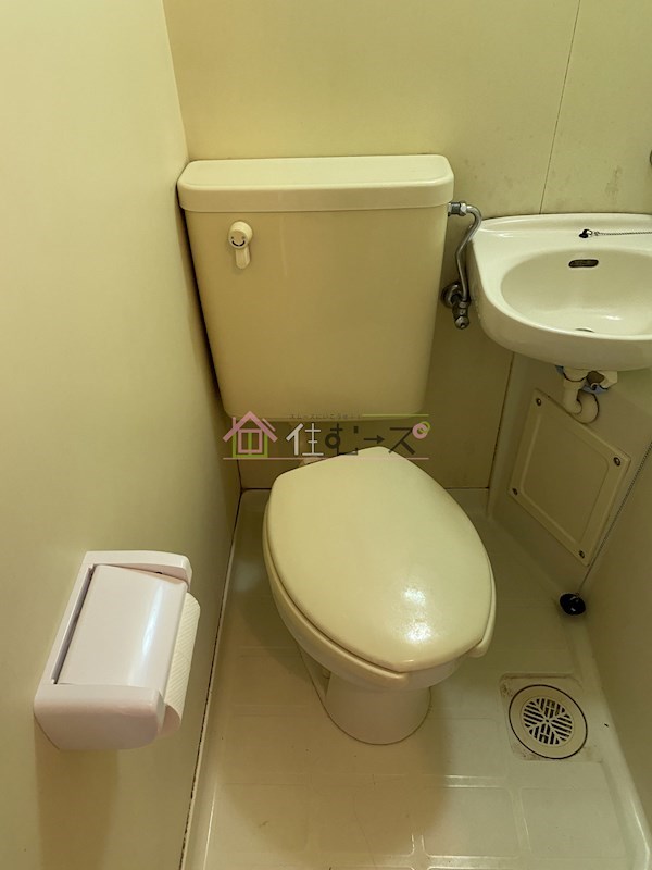 ワイムアーク・マサノ その他3