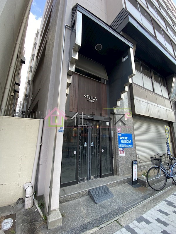 ステラ その他1