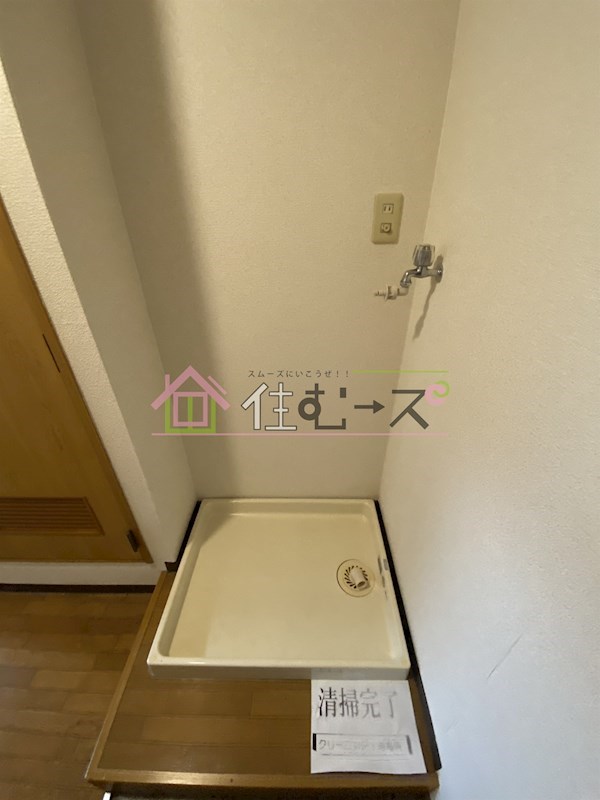 ステラ その他3