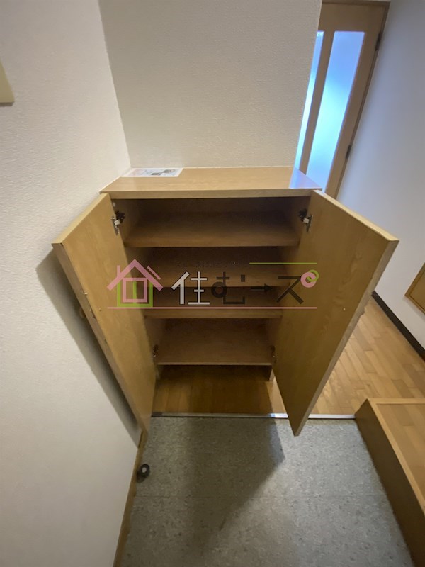 ステラ その他4