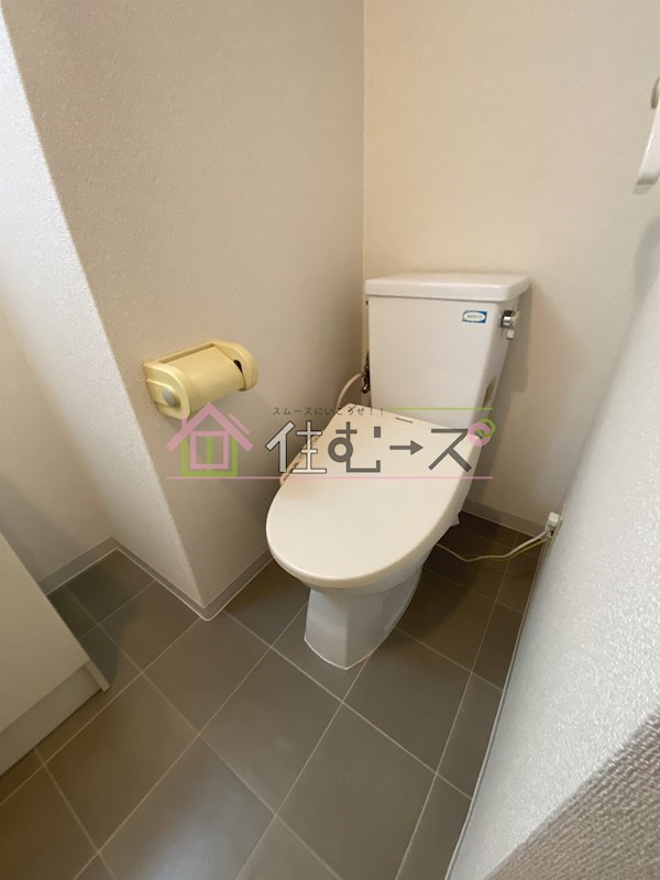 ステラ その他5