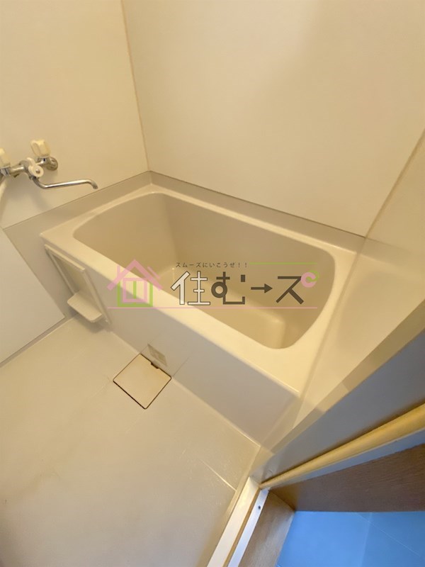 ステラ 風呂画像