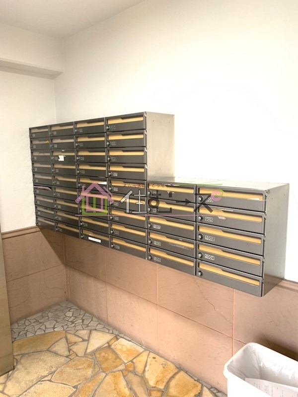 レバンガAP難波南Ⅱ その他外観4