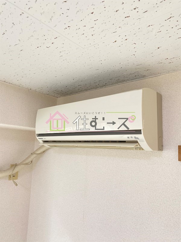 Collection中崎Ⅱ その他2