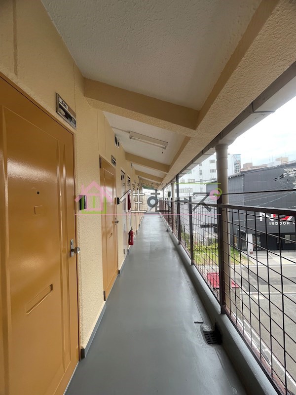 メゾン横堤 その他外観5