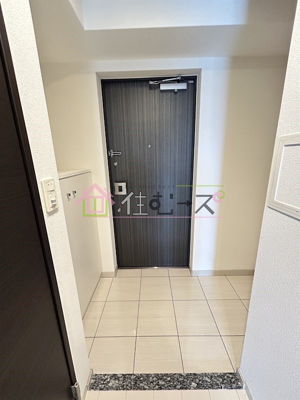 レジュールアッシュ九条 玄関