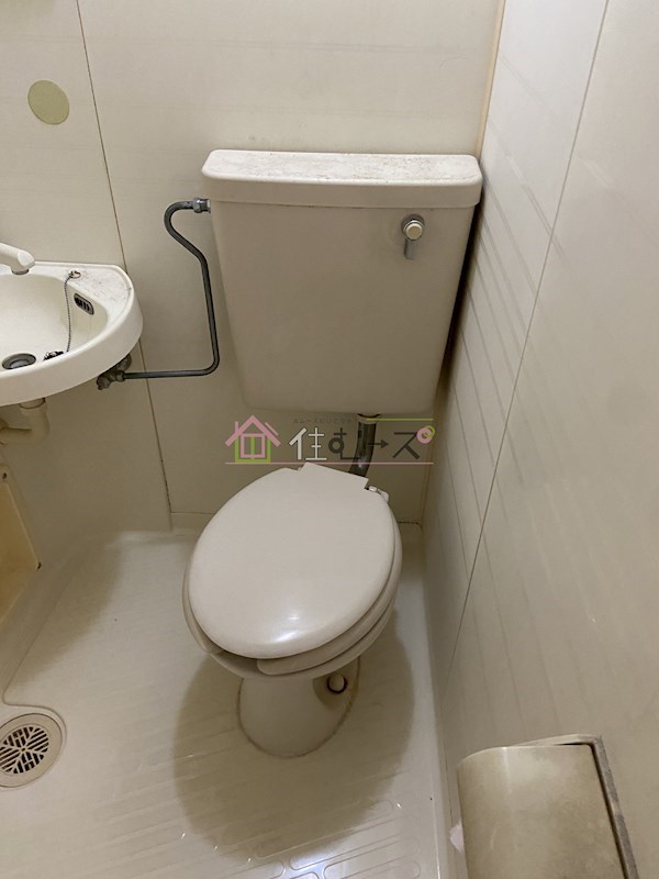 ポンパドールタカラ その他3