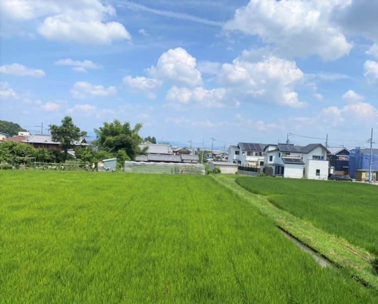 レオパレスセイフル その他8