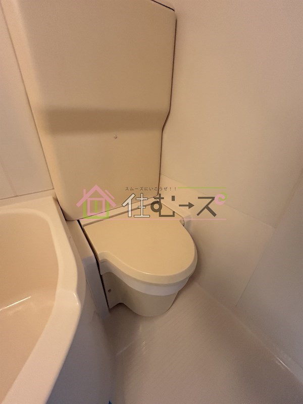 ラ・パルフェ・ド・パラツィーナ その他2