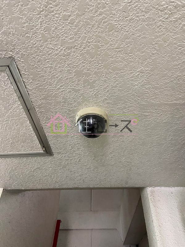 コーポ万代 その他外観6