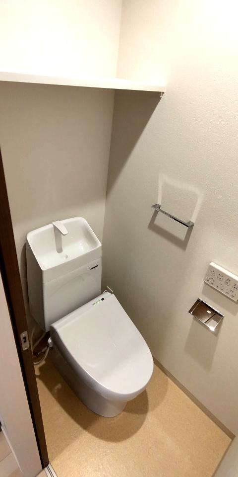 F asecia algol その他2