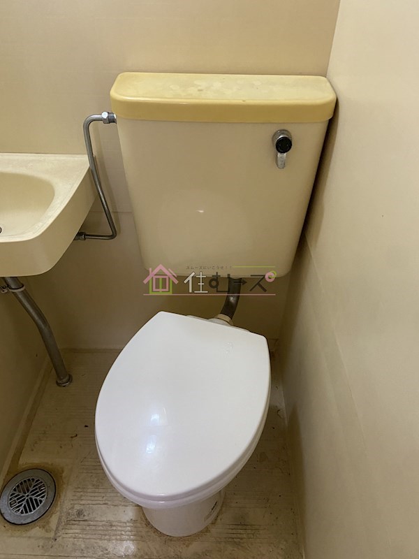 コーニッシュアビコⅡ その他2