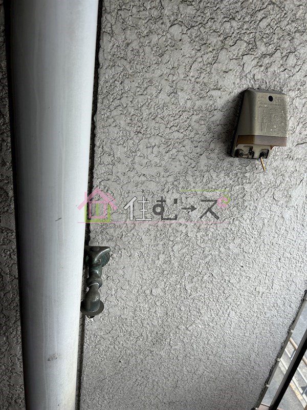 Lu Sheeta その他2