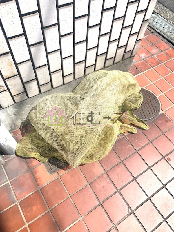 Lu Sheeta その他外観4