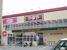 ＮＥＷ　ＬＩＮＥ　ＷＥＳＴ 周辺画像8