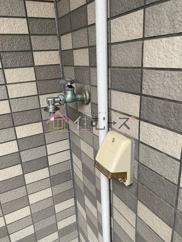 エクセレント上新8 その他5