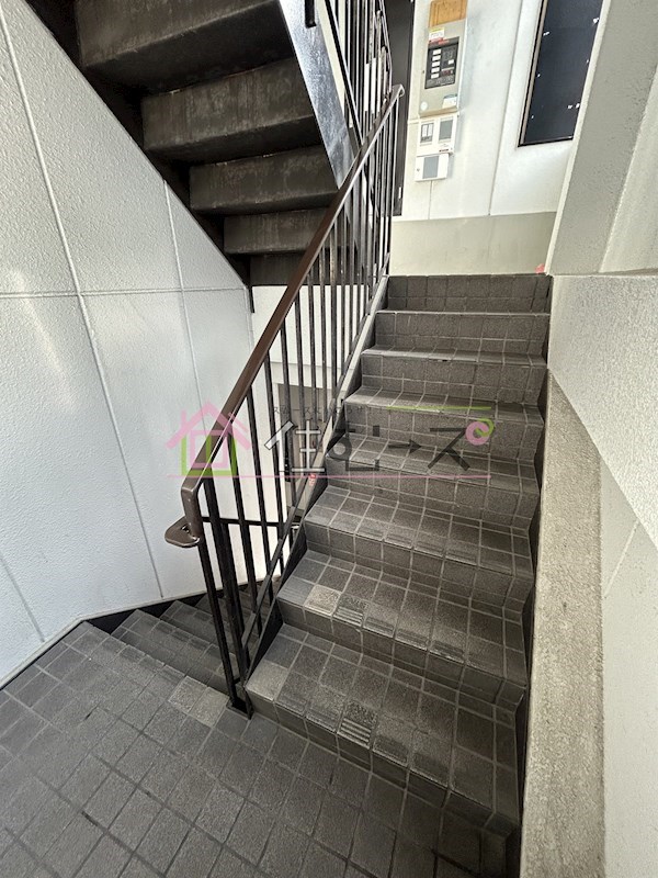 マイプラザ田島 その他外観5