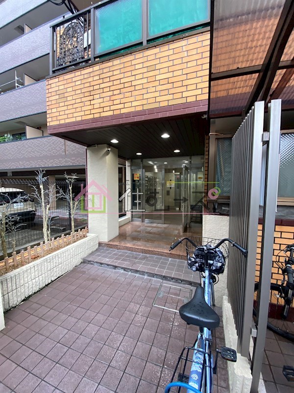 シャイニングスター その他1