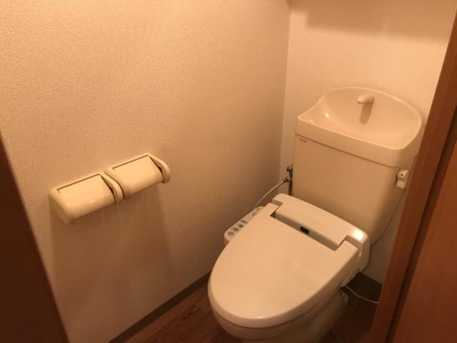 ブラウニーピア　 その他2