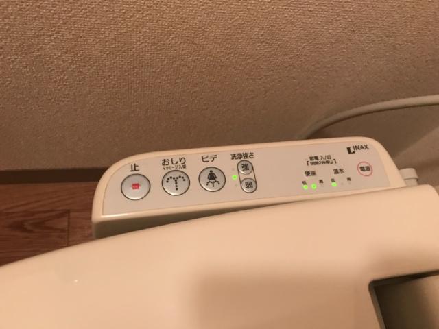 ブラウニーピア　 その他13
