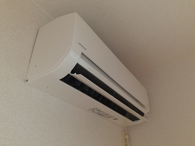 クリプトメリア　アヴェニュ－ その他3