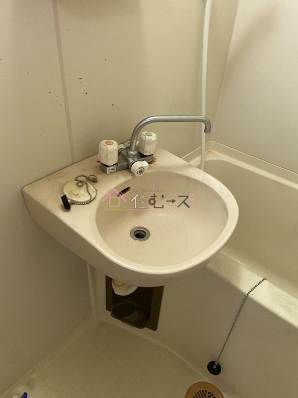 ラパンジール大国5 その他3