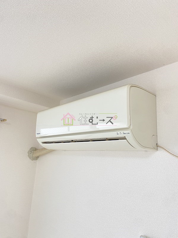 ラパンジール大国5 その他5