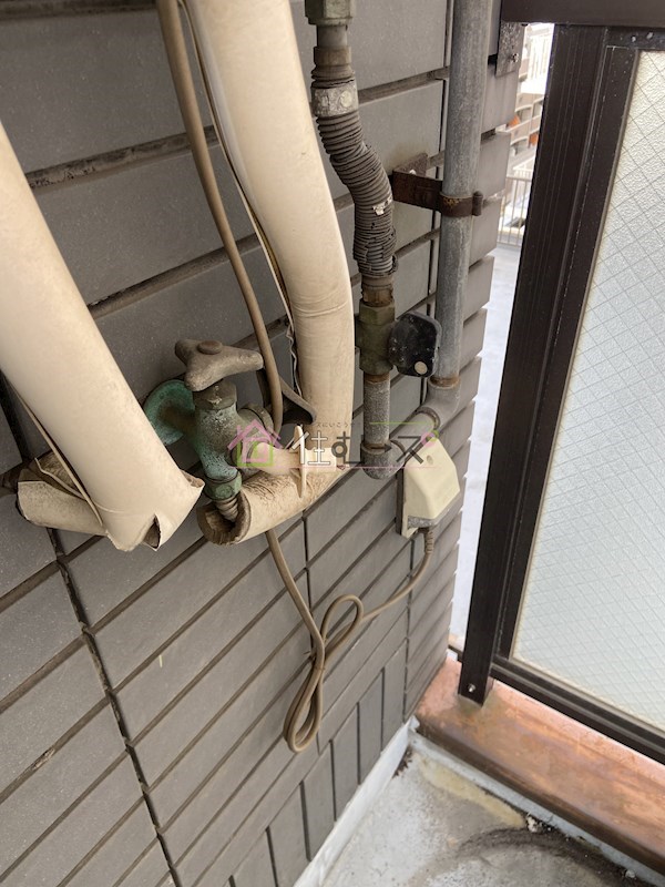 ラパンジール大国5 その他6