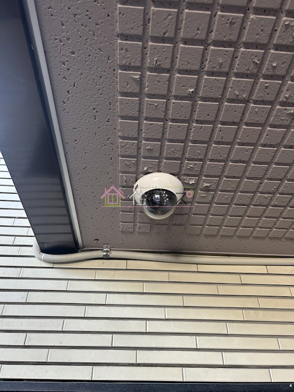 RUGGER　PALACE寺田町 その他外観6