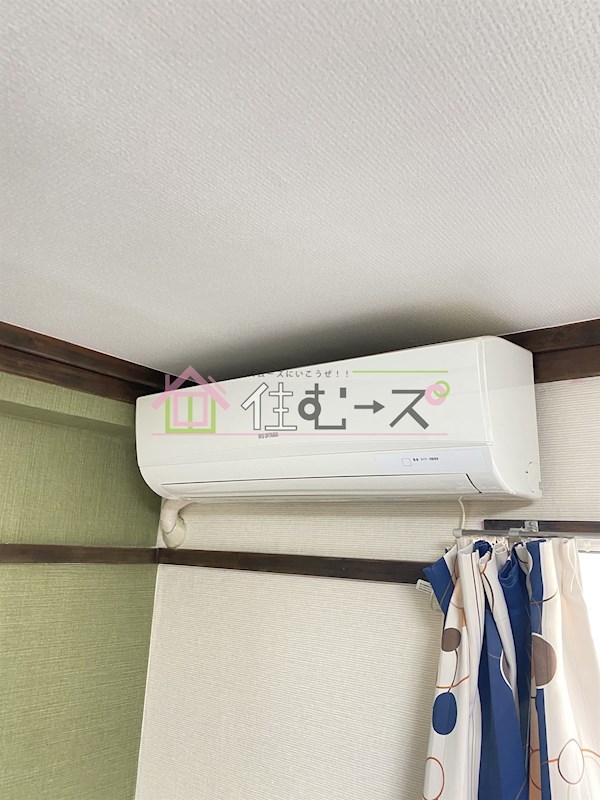 ロイヤルDyDo その他3