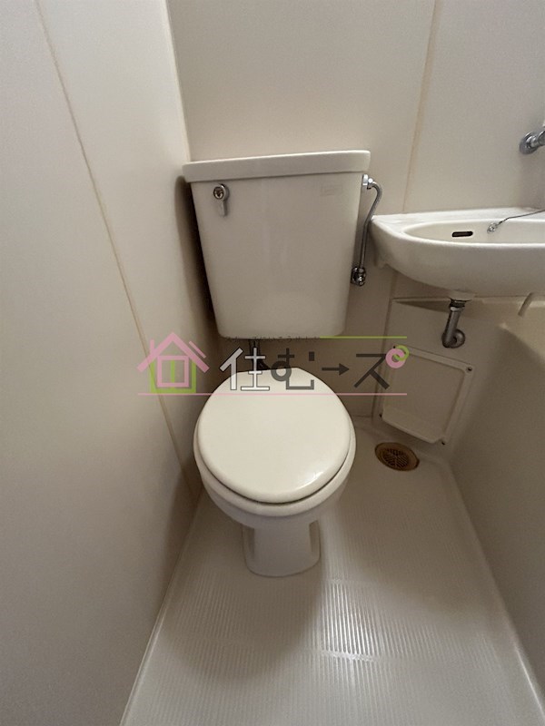 中之島live その他5