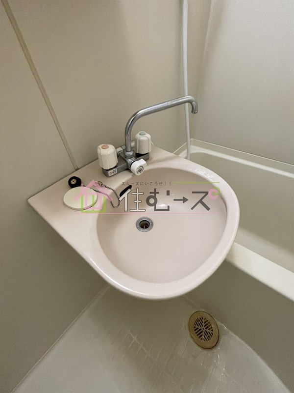 ラパンジール大国5 その他5