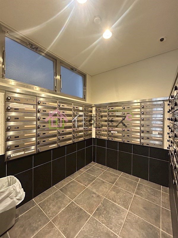 アルス大手前プレミア その他外観5