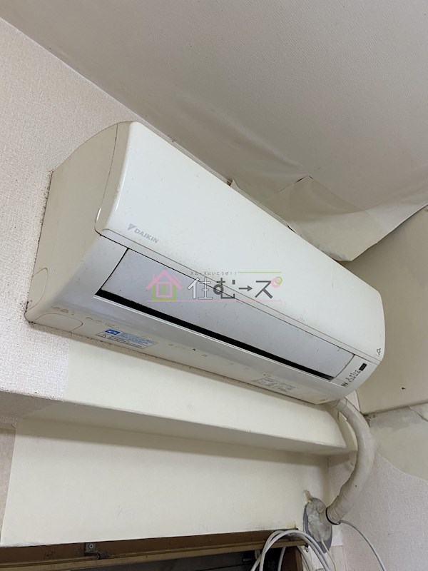 ドリーム21 その他5