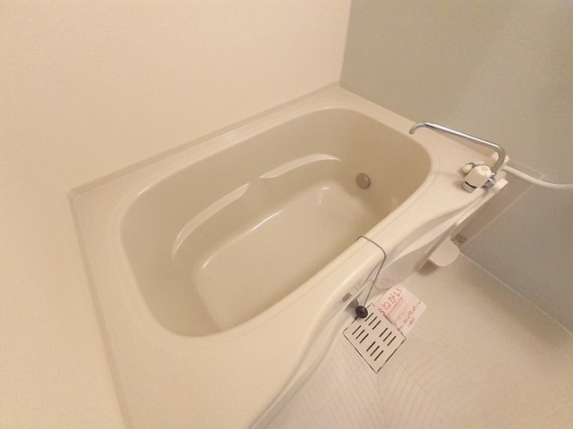 ダイアナ　レイク 風呂画像