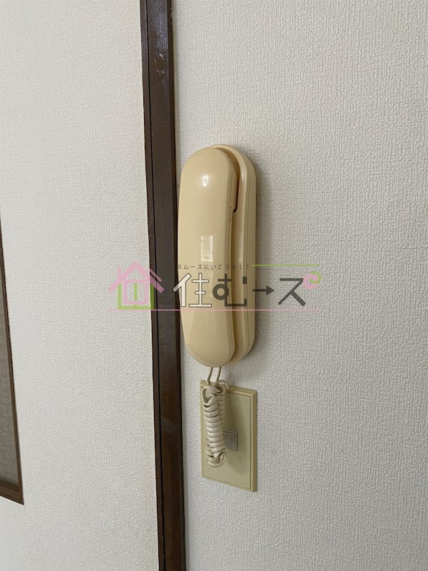 ホワイトグロリア その他4