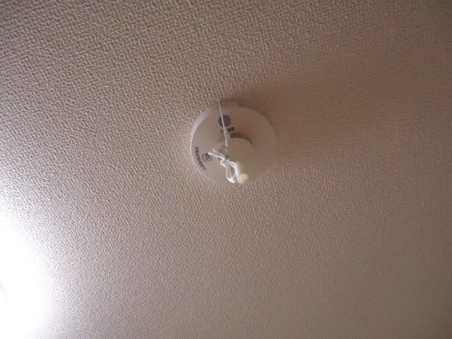 その他12